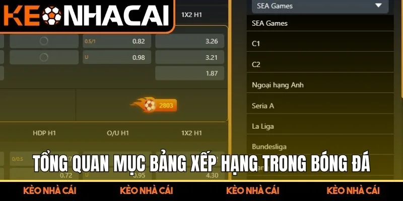 Tổng quan mục bảng xếp hạng trong cá cược bóng đá