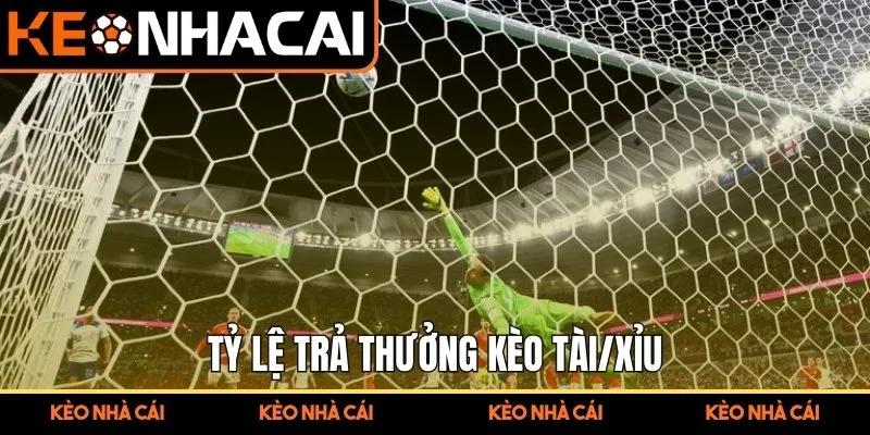 Tỷ lệ trả thưởng kèo Tài/Xỉu