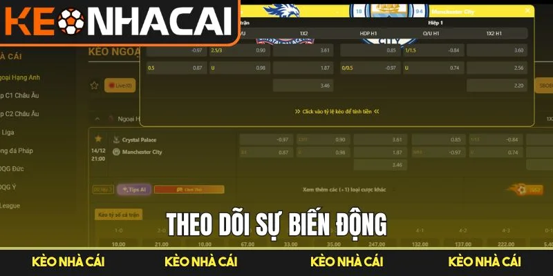Theo dõi sự biến động