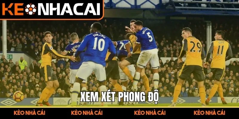 Xem xét phong độ 