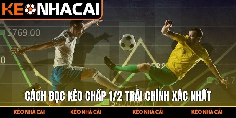 Cách đọc kèo chấp 1/2 trái chính xác nhất
