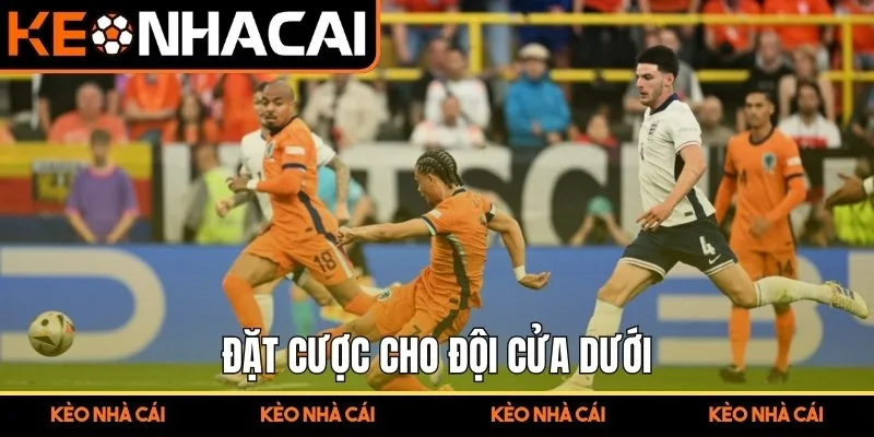 Đặt cược cho đội cửa dưới