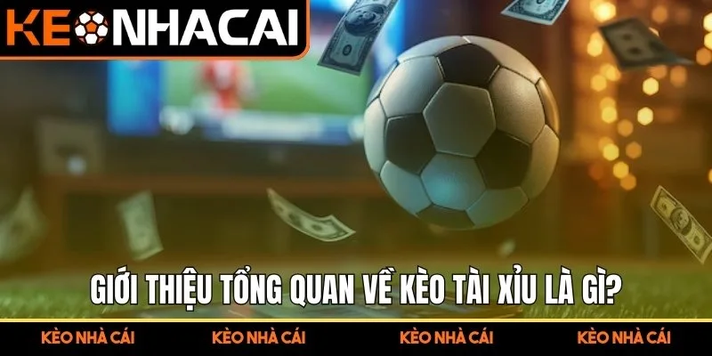 Giới thiệu tổng quan về kèo tài xỉu là gì? 