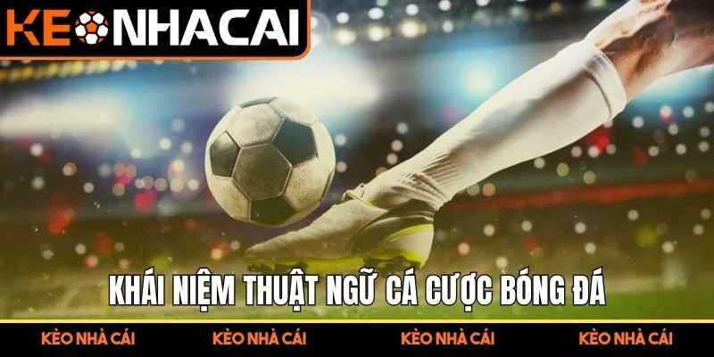 Khái niệm thuật ngữ cá cược bóng đá cho tân thủ 