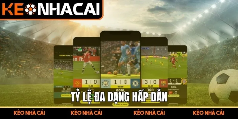 Web Cá Độ Bóng Đá – Trải Nghiệm Cho Người Mê Thể Thao 3 Tỷ lệ đa dạng hấp dẫn